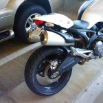 Monster Fender Eliminator 696