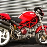 monstertailchop40