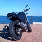 tailchop10